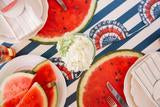 DieCutWatermelonPlacemat4_180x